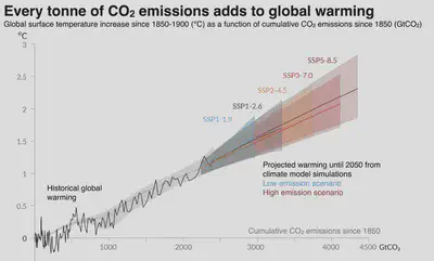 Global mean temperature and cumulative carbon emissions