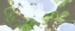 Master thesis - Arctic greening in models and observations