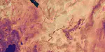 Master thesis - Detecting water stress via land surface temperatures