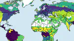 Master thesis - Global land carbon cycle modelling