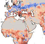 Bachelor thesis - Interannual variability of terrestrial photosynthesis