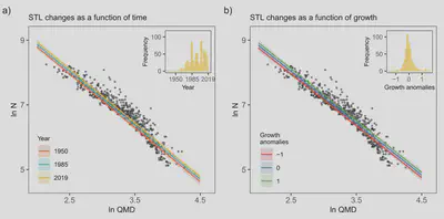 self-thinning relationship