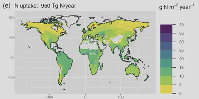 Global distribution of N uptake