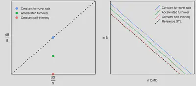 Conceptual model