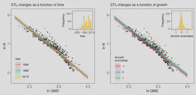 STL changes