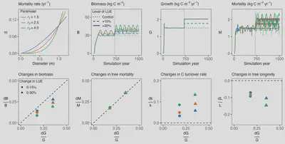 Model simulations