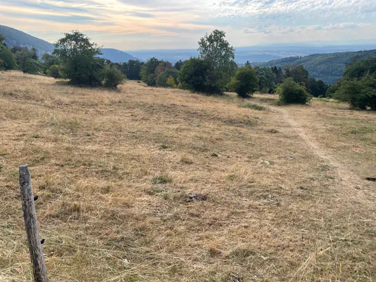 Is the European 2026 drought unprecedented in the last millennium?