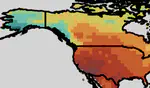 Droughts in the last millennium