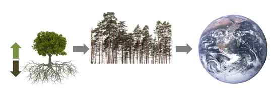 MIND (SNF Eccellenza)