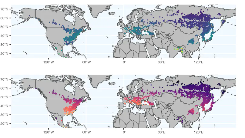 Phenology and photosynthesis